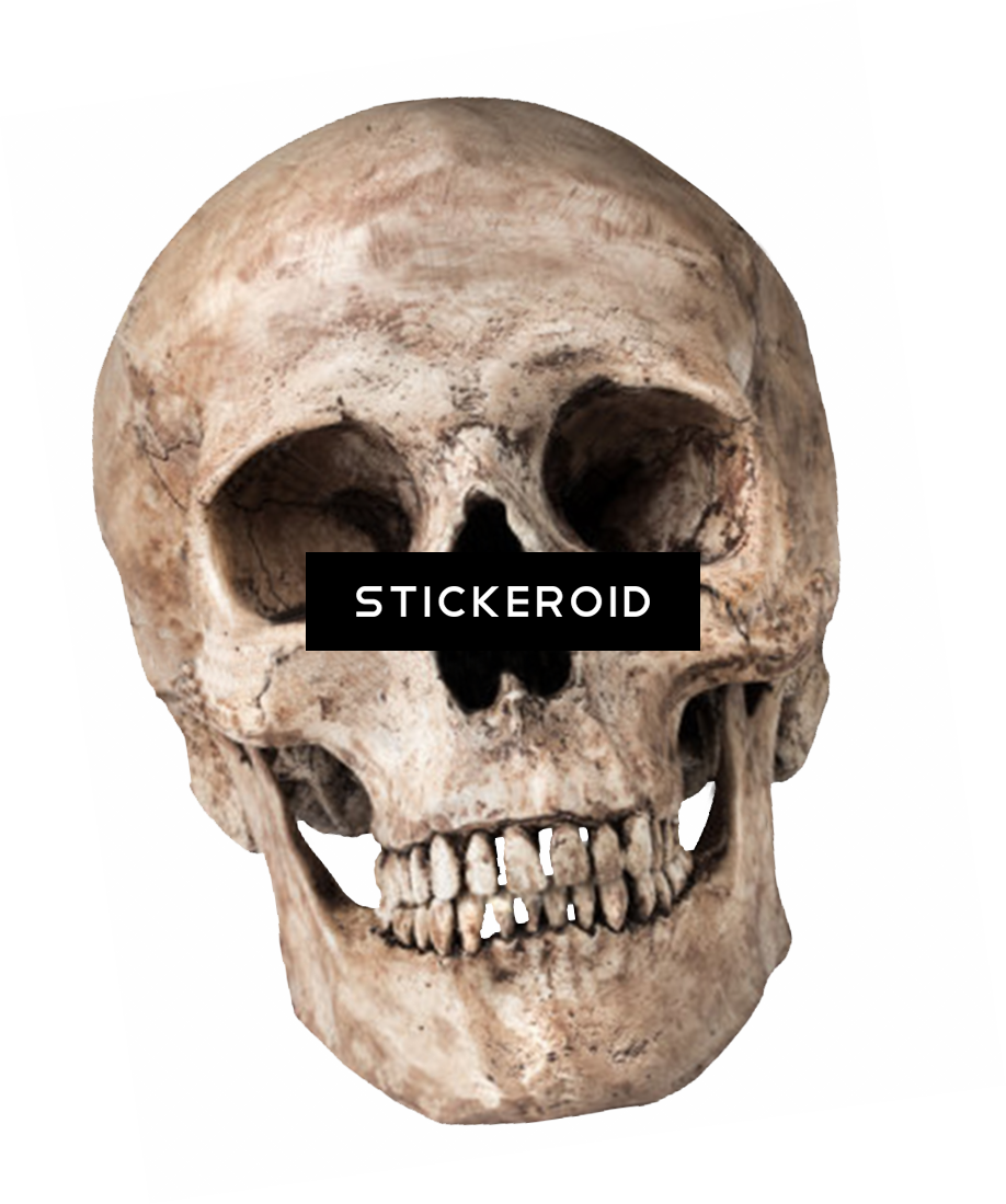 Skull (918x1099), Png Download