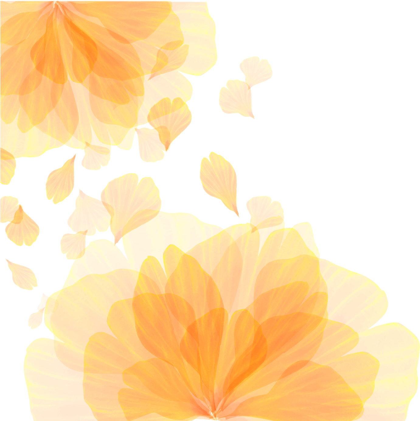 Picture Library Library Computer Wallpaper Orange Flower (1457x1410), Png Download
