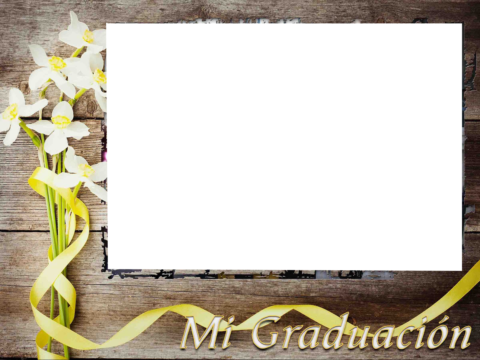 Download Publicado Por Liliana En Full Size Png Image Pngkit