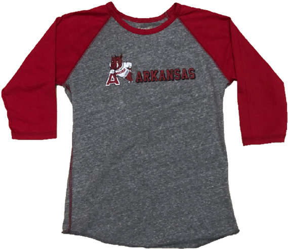 Women's Sweater Hog Raglan (600x600), Png Download