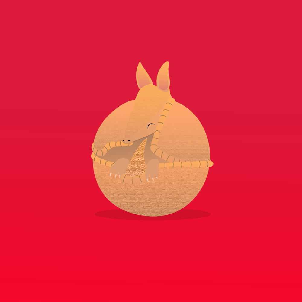 Armadillo (1000x1000), Png Download