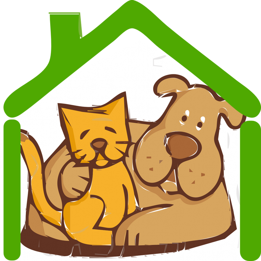 Cat And Dog Clip Art Clipart Cat Dog Clip Art (900x902), Png Download