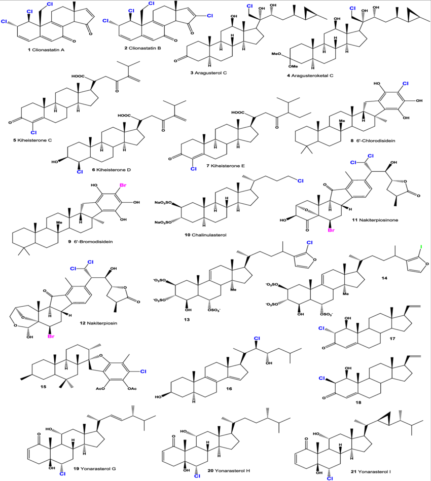 Halogenated Marine Steroids (850x949), Png Download