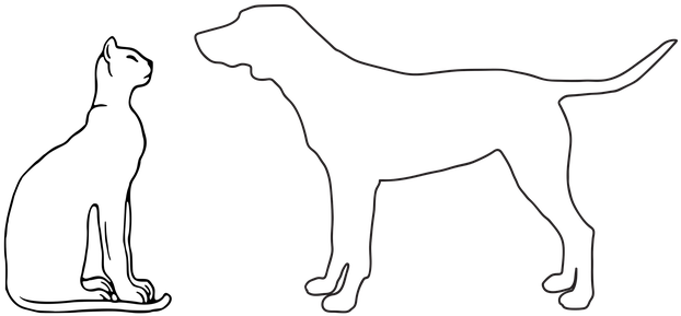 Quien Es Mas Inteligente Perro O Gato (960x614), Png Download