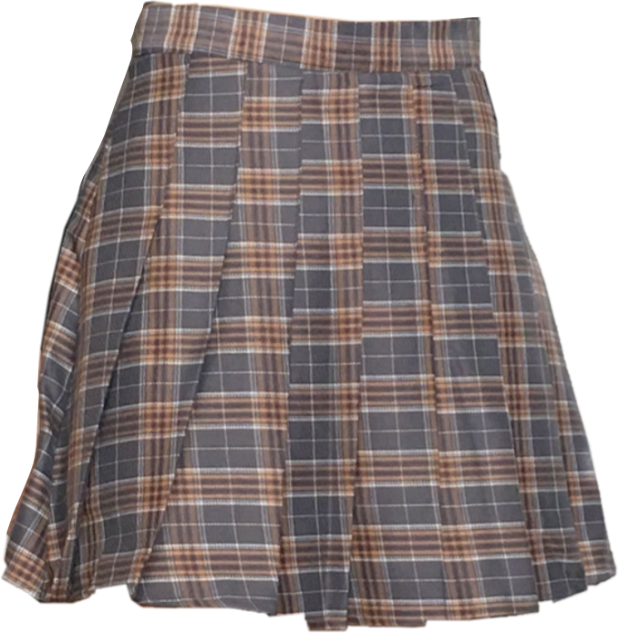 Skirt Vintage Retro Plaid Clothes Png Polyvore Nichemem - Skirt (679x694), Png Download