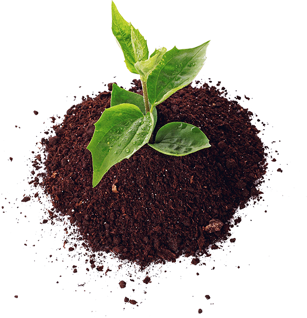 Complete Gardening Inc - Soil (600x620), Png Download