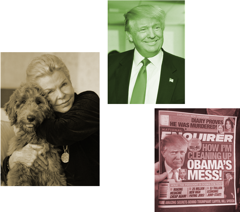A Dog, A Trump, & A National Enquirer - Companion Dog (800x800), Png Download