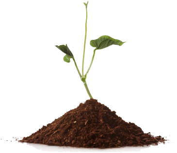 And So The First Step Should Always Be To Confirm Your - Pile Of Soil (367x380), Png Download