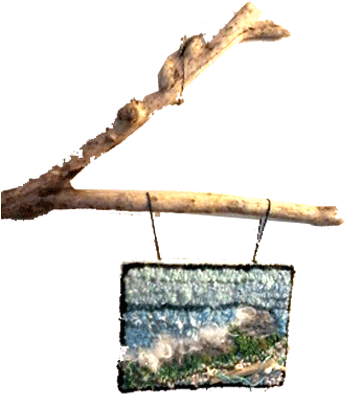Donna Legere - Driftwood (400x400), Png Download