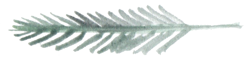 1 (891x225), Png Download