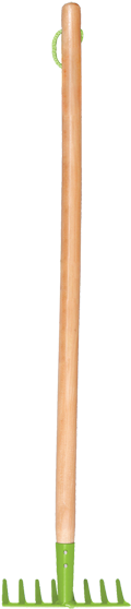 Wood (700x700), Png Download
