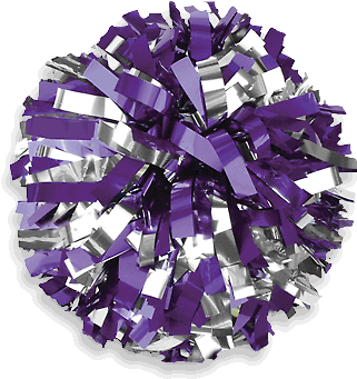 Cheerleading Pom Poms - Cheer Pom Poms Green And White (330x390), Png Download