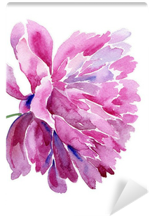 Acuarelas Peonias (400x400), Png Download