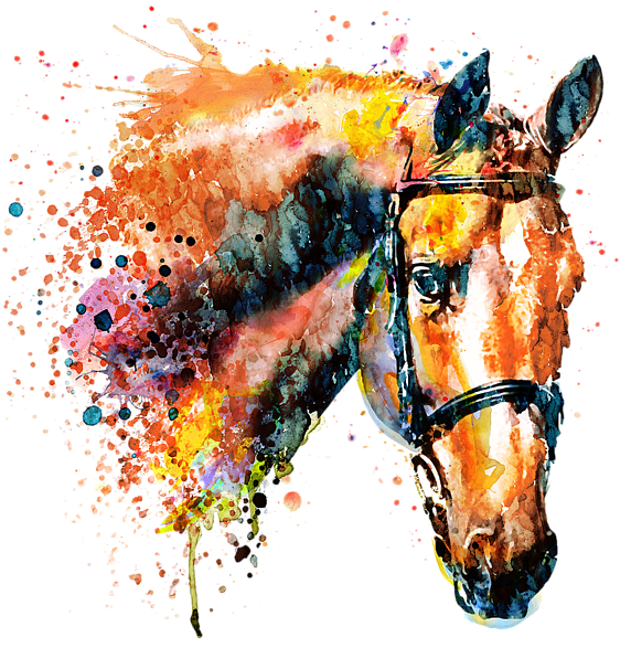Bleed Area May Not Be Visible - Tete De Cheval Aquarelle (600x600), Png Download