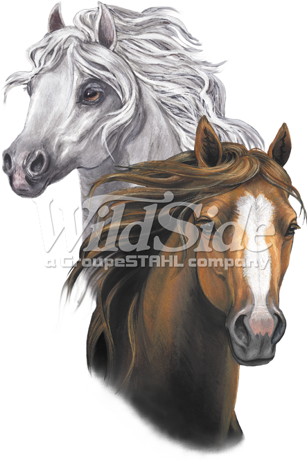 Two Horse Heads - Children's Park Avenue Little Girls White Brown Horse (675x675), Png Download