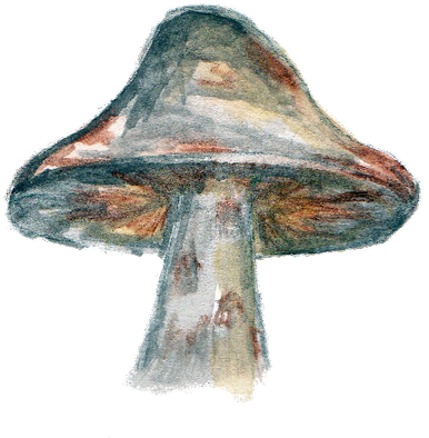 Orangepeel Paperie - Vegetable (400x400), Png Download