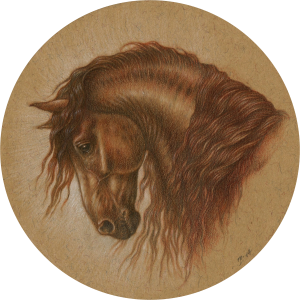 Graphite And Coloured Pencils With Touches Of Sepia - Stallion (600x600), Png Download