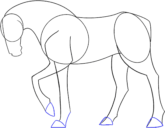 How To Draw A Simple Horse Easy Drawing Guides - Line Art (678x600), Png Download