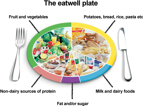 Growing Up, Many Of Us Were Introduced To The Food - Perfect Health - Body Diet & Nutrition (618x457), Png Download
