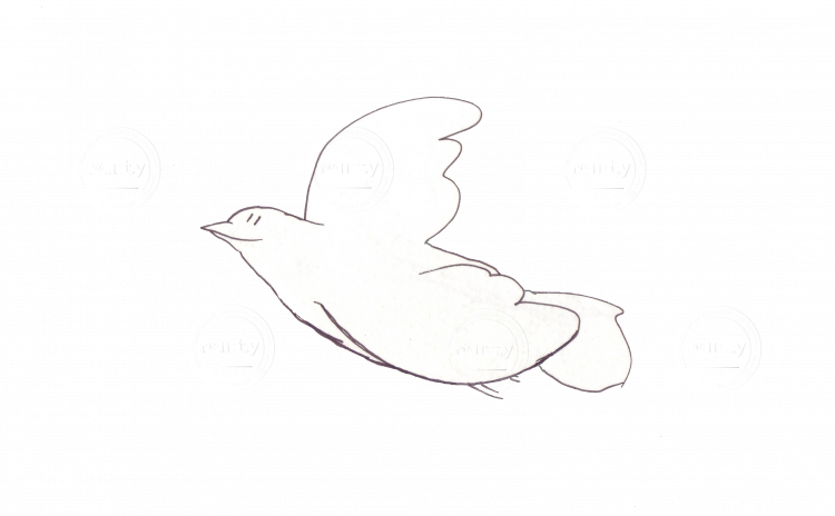 Simple And Neat Flying Bird / Dove - Bird (750x464), Png Download