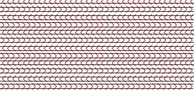Are The Horizontal Lines Straight - Symmetry (656x306), Png Download