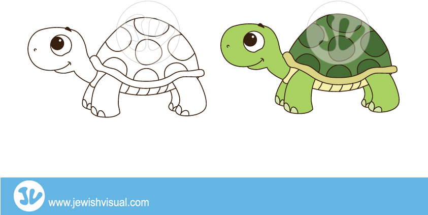 Turtle-clipart - צב איור (842x595), Png Download
