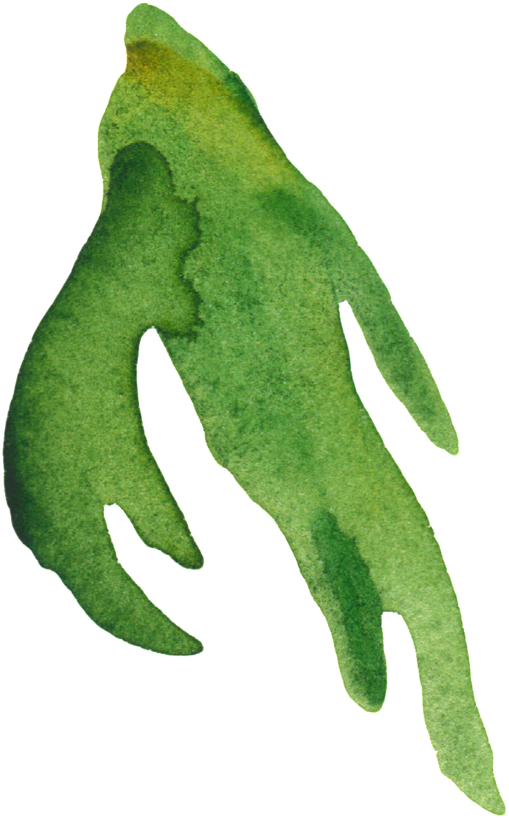Long Branches And Leaves Transparent Decorative - Leaf (1024x1644), Png Download