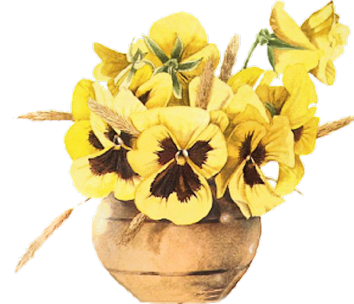09 21 2016 Yellow Pansies In Round Brass Toned Bowl - Watercolor Painting (500x430), Png Download
