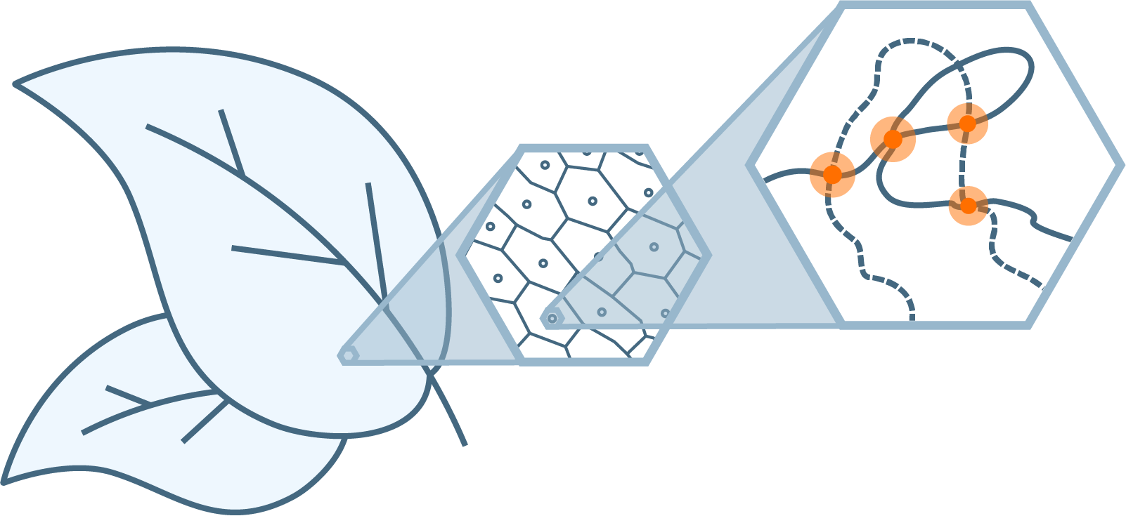 Our Proximo Hi-c Genome Scaffolding Technology Is The (1602x735), Png Download