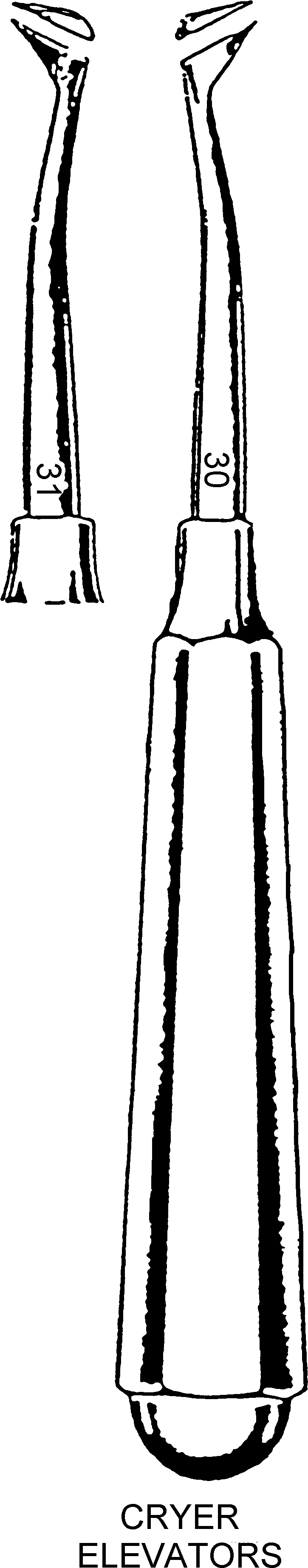 The Beaks Of The Forceps Are Designed To Firmly Grasp (851x3851), Png Download