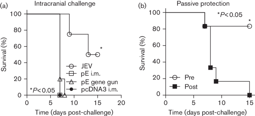 Immunization With Pe Failed To Protect Mice From An (850x387), Png Download