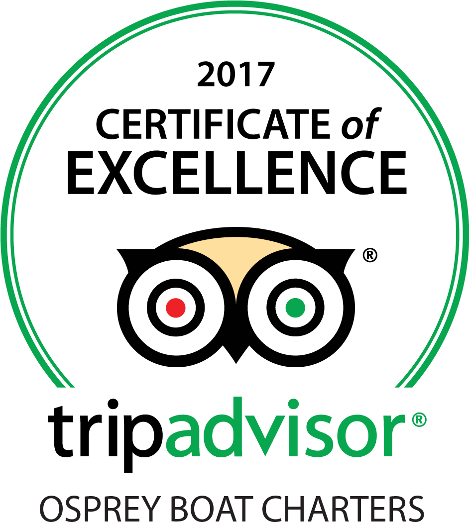 Trip Advisor (941x1066), Png Download