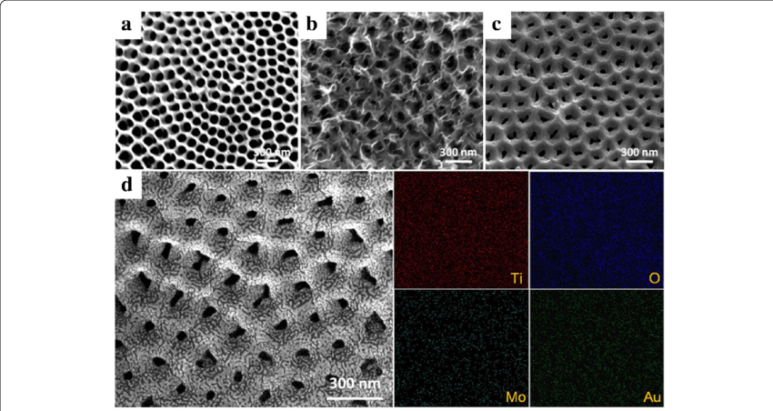 Sem Images Of A Tnts, B Tnts@mos 2 , C Tnts@moo (850x452), Png Download