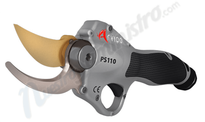 Arvipo (720x660), Png Download