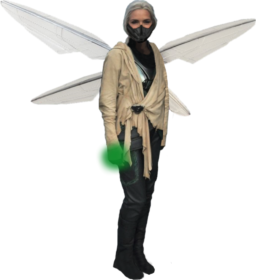 Wasp Png (855x934), Png Download