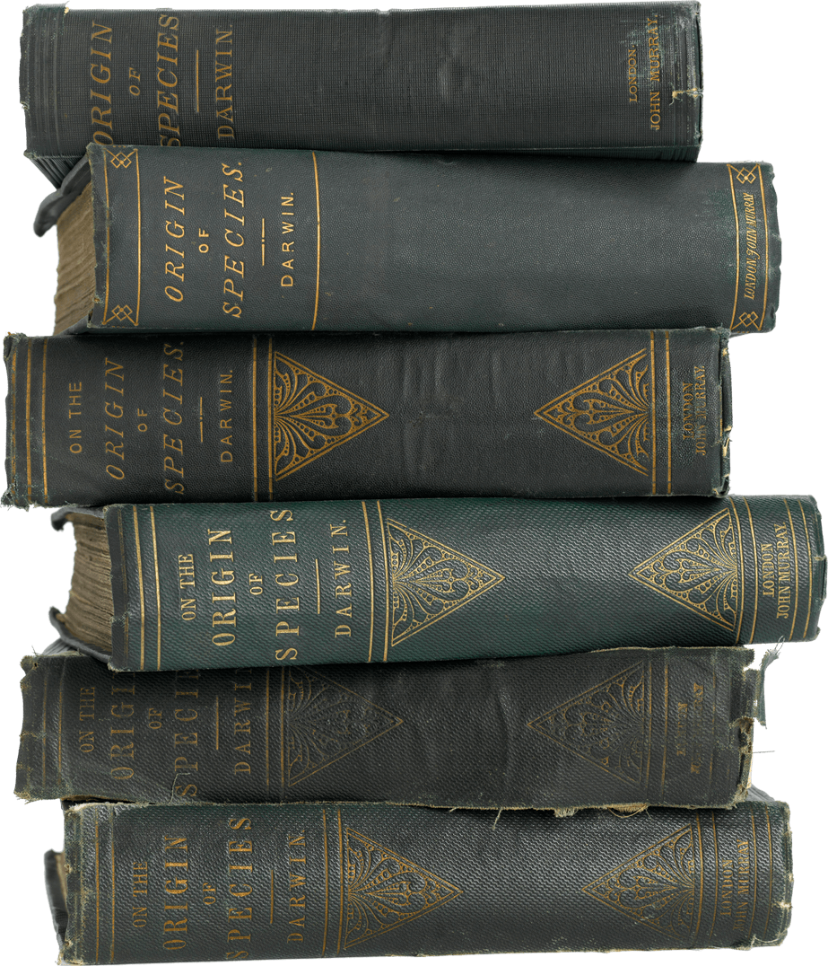 Animals And Plants Poorly Adapted To Their Environment (923x1076), Png Download