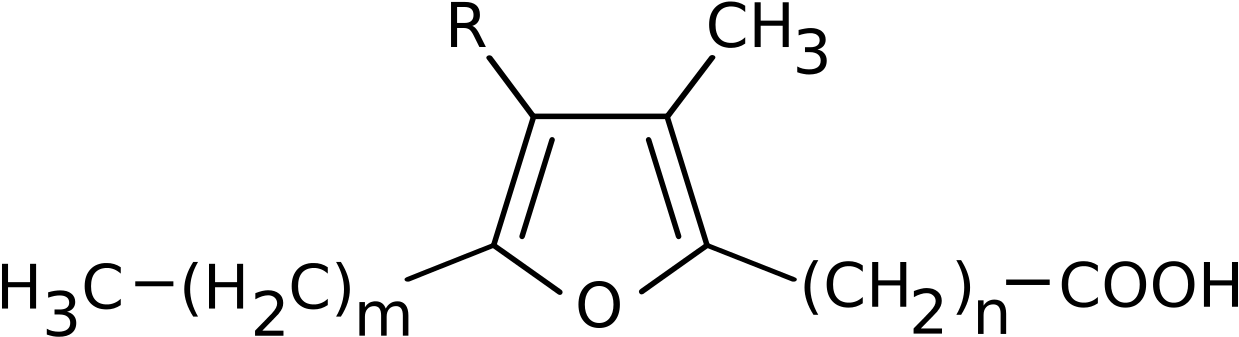 File - Ffa - Svg (1280x346), Png Download