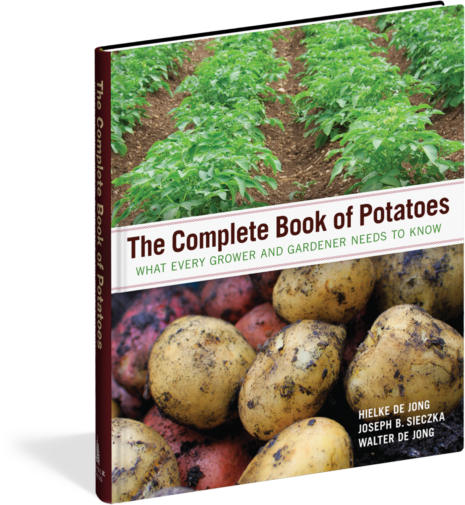Potatoes Png (1650x1725), Png Download