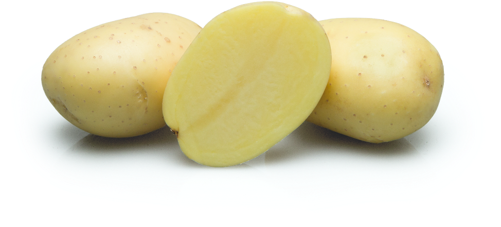 Stet-potato - Com/en Sitemap - (1152x768), Png Download