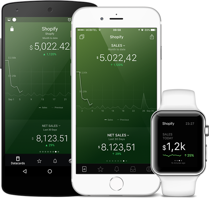 Shopify Metrics And Kpi Visualization In Databox Native (743x706), Png Download