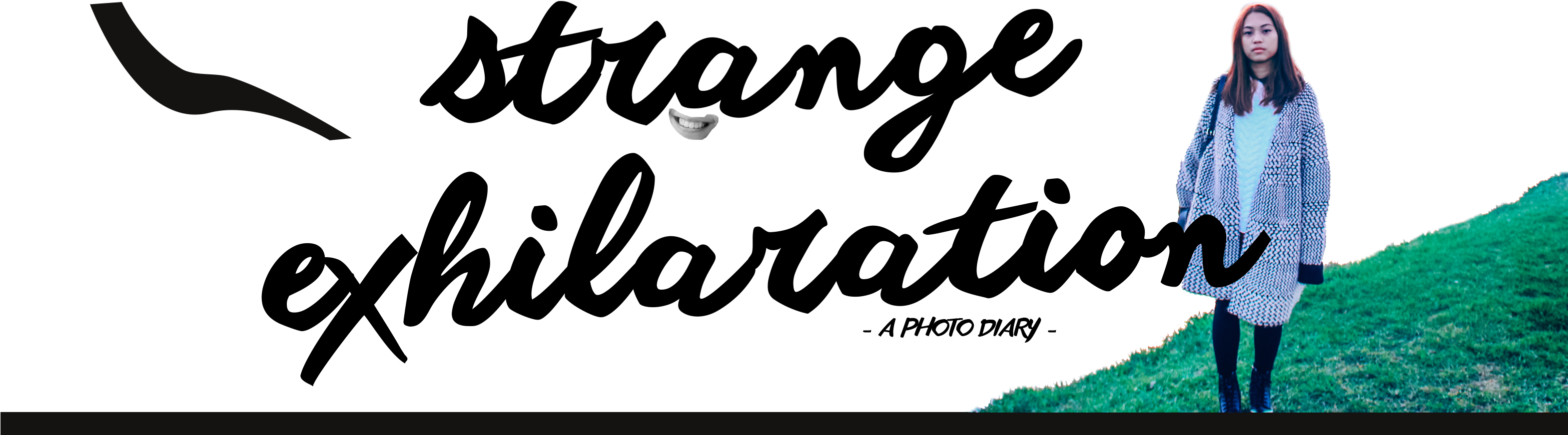 Pez (3137x950), Png Download