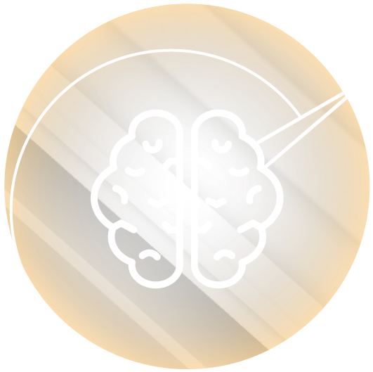 Brain Optimization (700x600), Png Download