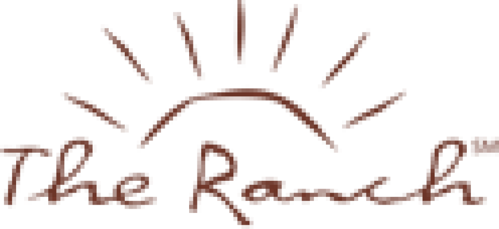 For More Information On Ptsd Related To Domestic Or (1024x471), Png Download