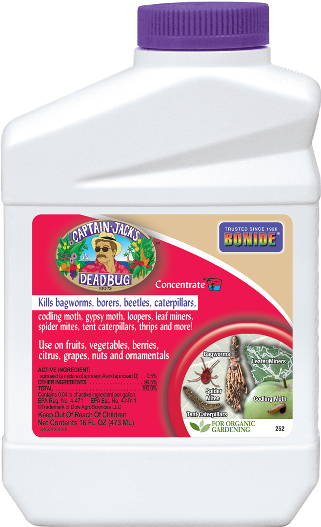 Captain Jacks Dead Bug Brew® Conc (658x1081), Png Download