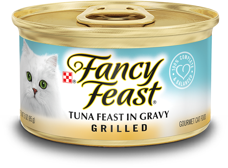 Grilled Tuna Feast In Gravy (1000x600), Png Download