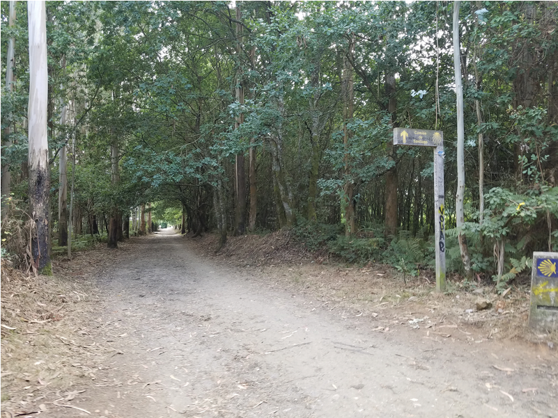 Dan And Anne Batty Enjoying The Solitude (1000x600), Png Download