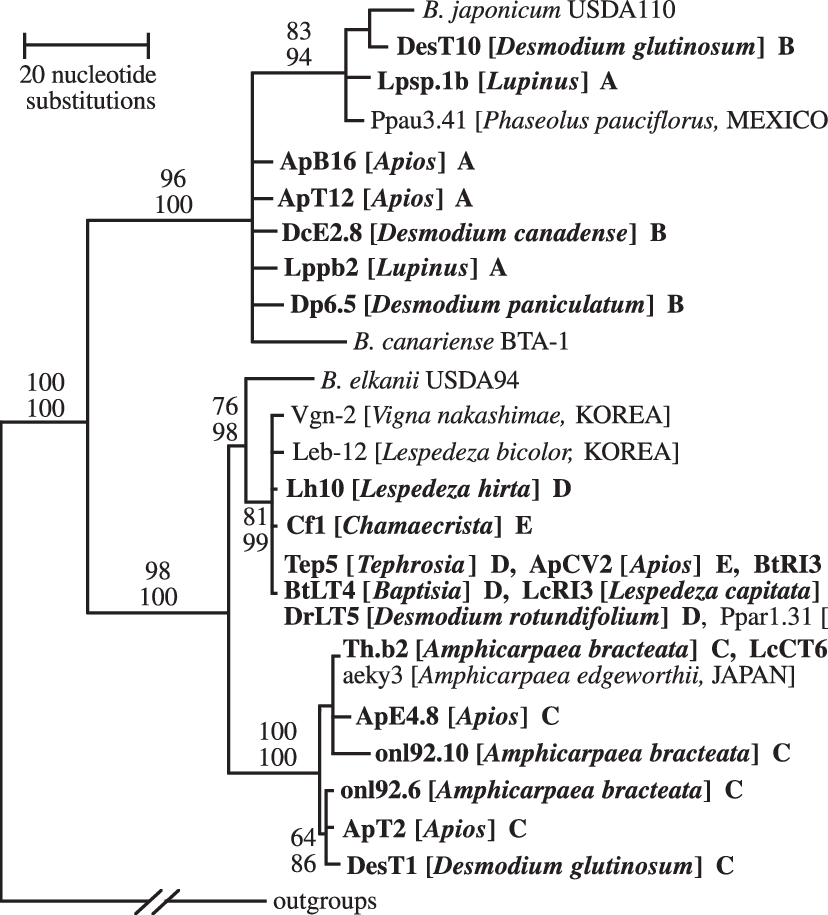 Bootstrap Majority-rule Maximum Parsimony Consensus (828x915), Png Download