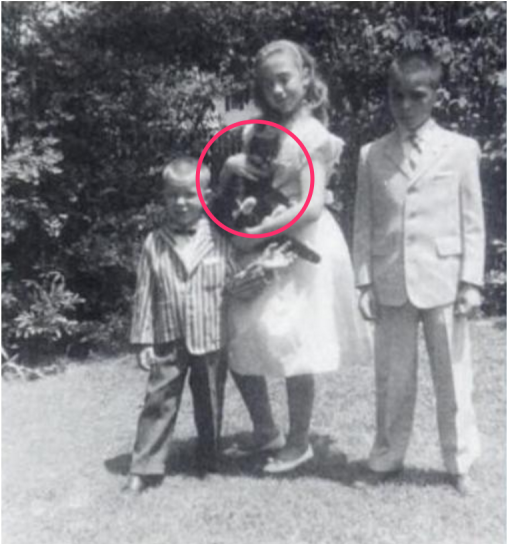 Recently Uncovered Photo Of Hillary Clinton Posing (800x543), Png Download