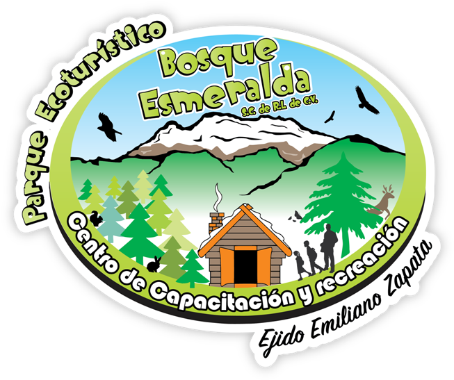 Bosqueesmeralda - Com - Mx (768x593), Png Download