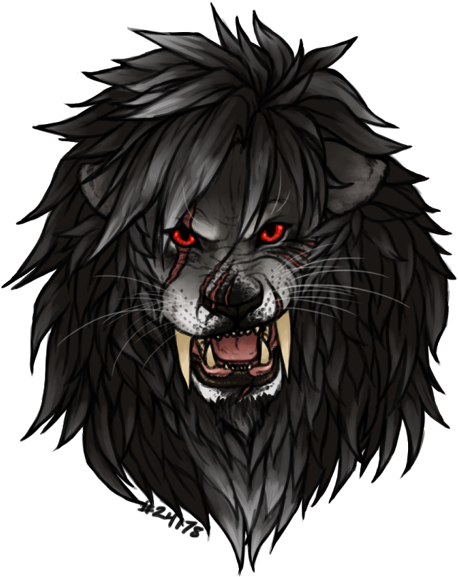 9tp5bvd (646x818), Png Download